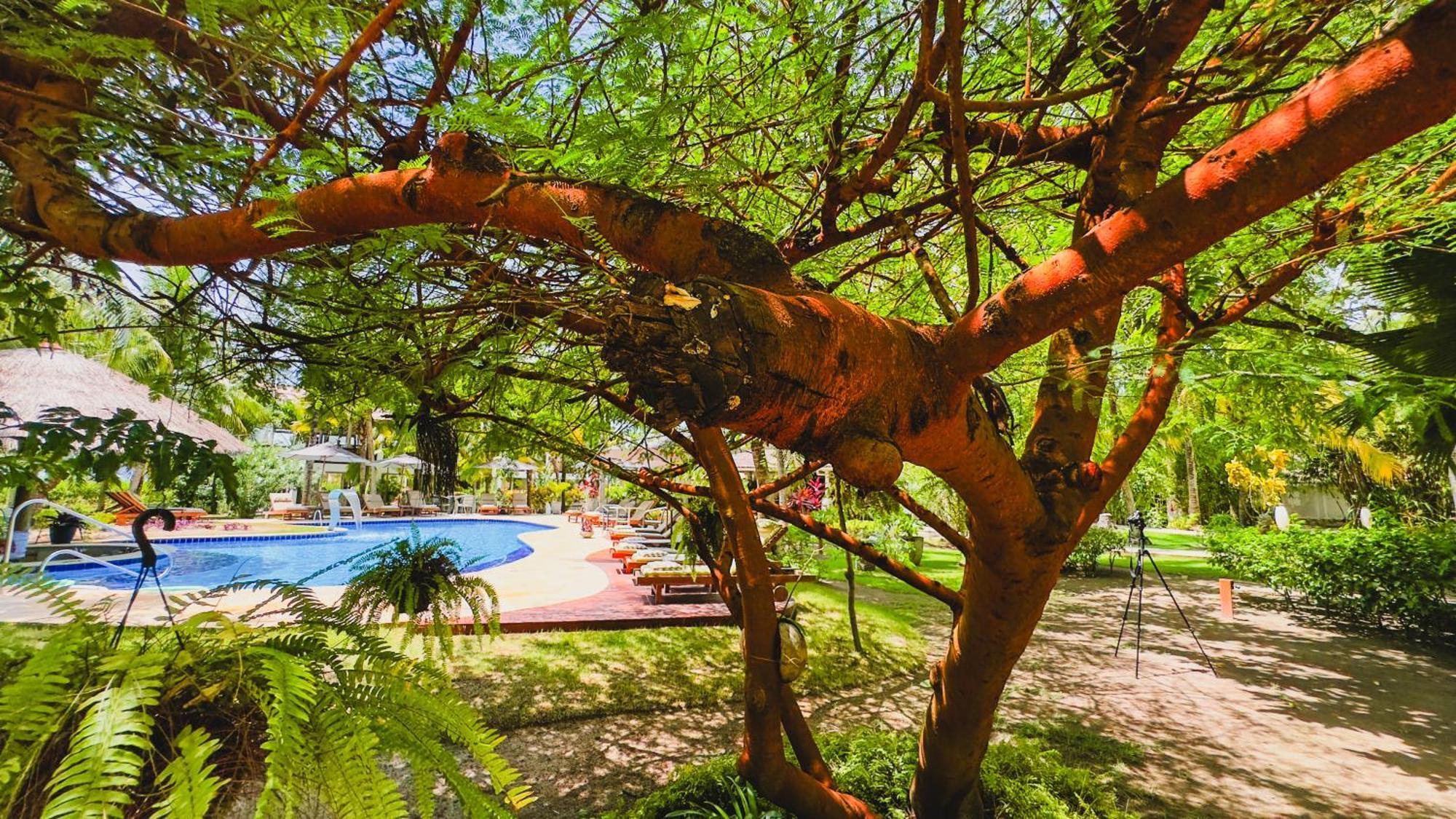 ホテル Casa Acayu São Miguel dos Milagres エクステリア 写真
