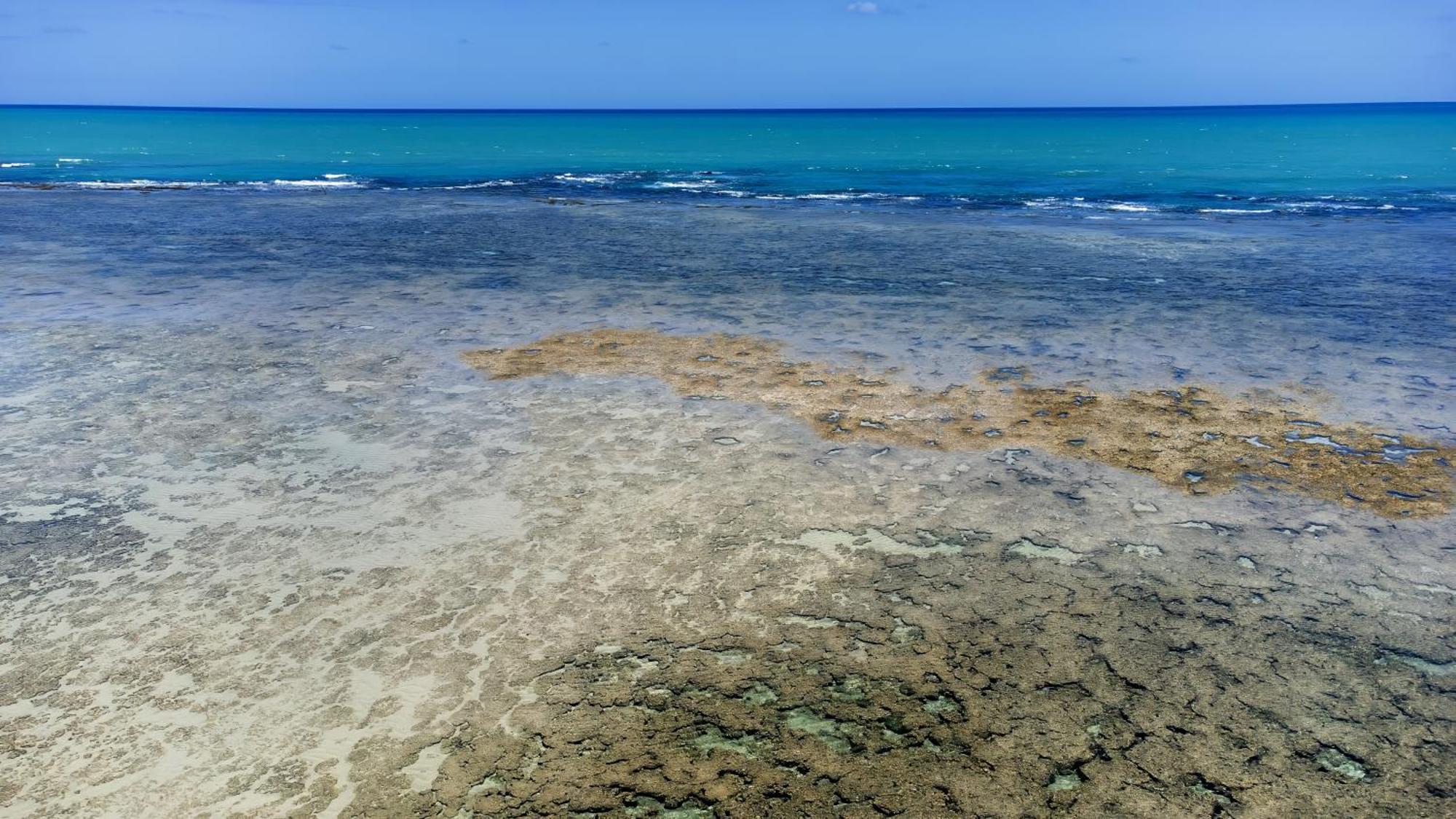 ホテル Casa Acayu São Miguel dos Milagres エクステリア 写真